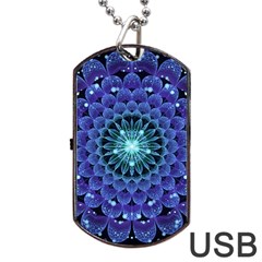 Accordant Electric Blue Fractal Flower Mandala Dog Tag Usb Flash (two Sides) by jayaprime