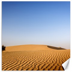 Desert Dunes With Blue Sky Canvas 20  X 20  