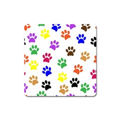 Pawprints Paw Prints Paw Animal Square Magnet by Celenk