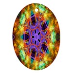 Kaleidoscope Pattern Ornament Oval Ornament (Two Sides) Back