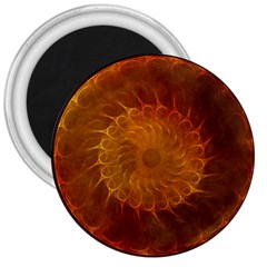 Orange Warm Hues Fractal Chaos 3  Magnets by Celenk