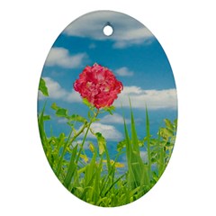 Beauty Nature Scene Photo Ornament (oval) by dflcprints