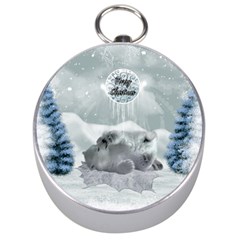 Cute Polar Bear Baby, Merry Christmas Silver Compasses