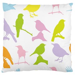 Birds Colourful Background Large Flano Cushion Case (two Sides) by Celenk