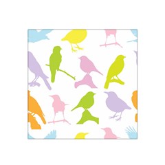 Birds Colourful Background Satin Bandana Scarf by Celenk