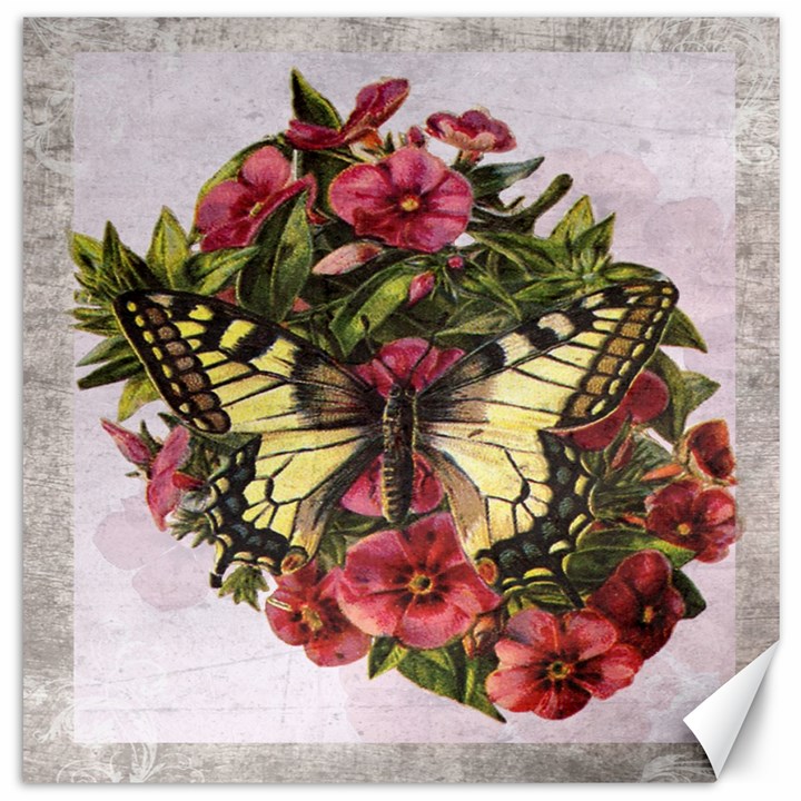 Vintage Butterfly Flower Canvas 12  x 12  