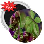 Arrangement Butterfly Aesthetics 3  Magnets (10 pack)  Front