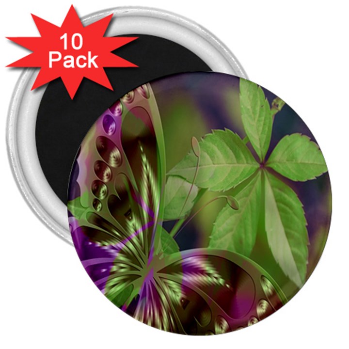 Arrangement Butterfly Aesthetics 3  Magnets (10 pack) 