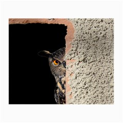 Owl Hiding Peeking Peeping Peek Small Glasses Cloth (2-side) by Celenk