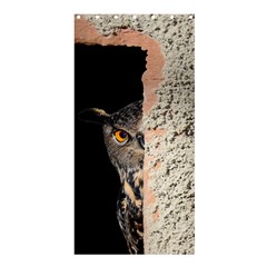 Owl Hiding Peeking Peeping Peek Shower Curtain 36  X 72  (stall)  by Celenk