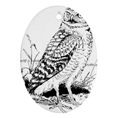 Animal Bird Forest Nature Owl Oval Ornament (Two Sides)