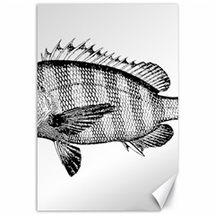 Animal Fish Ocean Sea Canvas 12  X 18   by Celenk