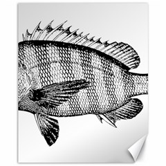 Animal Fish Ocean Sea Canvas 11  X 14   by Celenk