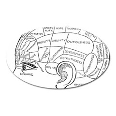 Brain Chart Diagram Face Fringe Oval Magnet by Celenk