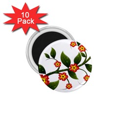 Flower Branch Nature Leaves Plant 1 75  Magnets (10 Pack)  by Celenk