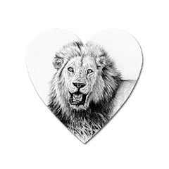 Lion Wildlife Art And Illustration Pencil Heart Magnet by Celenk
