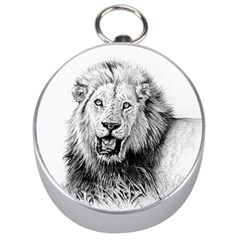 Lion Wildlife Art And Illustration Pencil Silver Compasses by Celenk