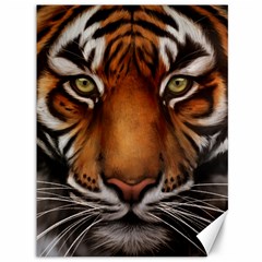 The Tiger Face Canvas 36  X 48   by Celenk