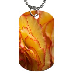 Flowers Leaves Leaf Floral Summer Dog Tag (two Sides)