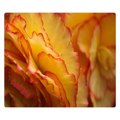 Flowers Leaves Leaf Floral Summer Double Sided Flano Blanket (small) 