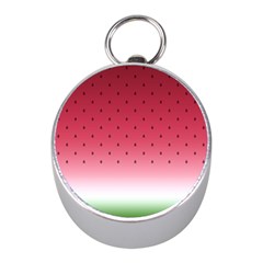 Watermelon Mini Silver Compasses by jumpercat