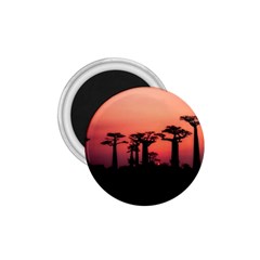 Baobabs Trees Silhouette Landscape 1 75  Magnets by BangZart