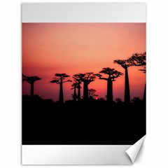 Baobabs Trees Silhouette Landscape Canvas 12  X 16   by BangZart