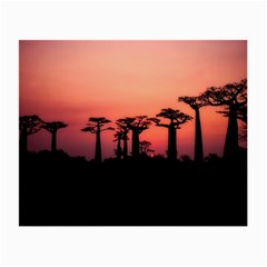 Baobabs Trees Silhouette Landscape Small Glasses Cloth (2-side) by BangZart