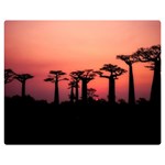 Baobabs Trees Silhouette Landscape Double Sided Flano Blanket (Medium)  60 x50  Blanket Front