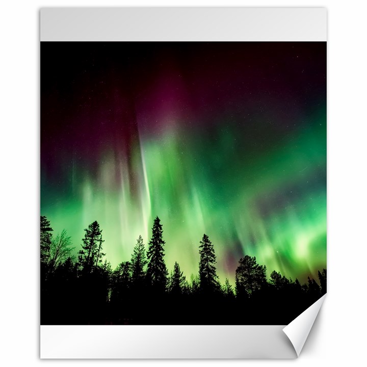 Aurora Borealis Northern Lights Canvas 16  x 20  
