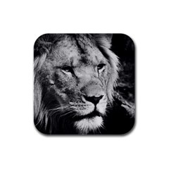 Africa Lion Male Closeup Macro Rubber Square Coaster (4 Pack)  by BangZart