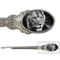 Africa Lion Male Closeup Macro Letter Openers by BangZart