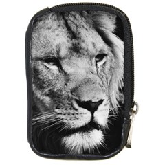 Africa Lion Male Closeup Macro Compact Camera Cases by BangZart