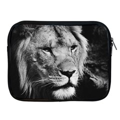 Africa Lion Male Closeup Macro Apple Ipad 2/3/4 Zipper Cases