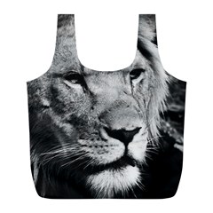 Africa Lion Male Closeup Macro Full Print Recycle Bags (l) 