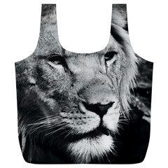 Africa Lion Male Closeup Macro Full Print Recycle Bags (l) 