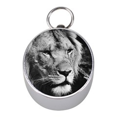 Africa Lion Male Closeup Macro Mini Silver Compasses by BangZart