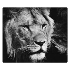 Africa Lion Male Closeup Macro Double Sided Flano Blanket (small) 