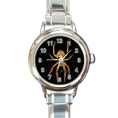 Insect Macro Spider Colombia Round Italian Charm Watch by BangZart