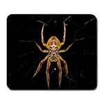 Insect Macro Spider Colombia Large Mousepads Front