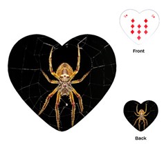 Insect Macro Spider Colombia Playing Cards (heart)  by BangZart