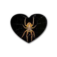 Insect Macro Spider Colombia Heart Coaster (4 Pack)  by BangZart