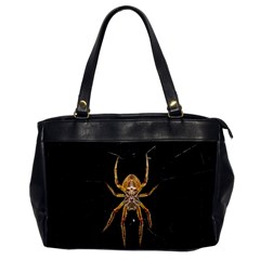 Insect Macro Spider Colombia Office Handbags by BangZart