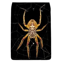 Insect Macro Spider Colombia Flap Covers (l) 