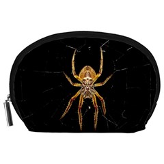 Insect Macro Spider Colombia Accessory Pouches (large) 