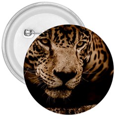 Jaguar Water Stalking Eyes 3  Buttons by BangZart