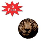 Jaguar Water Stalking Eyes 1  Mini Buttons (10 Pack)  by BangZart