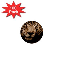 Jaguar Water Stalking Eyes 1  Mini Buttons (100 Pack)  by BangZart