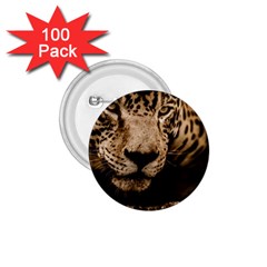 Jaguar Water Stalking Eyes 1 75  Buttons (100 Pack)  by BangZart