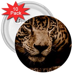 Jaguar Water Stalking Eyes 3  Buttons (10 Pack)  by BangZart